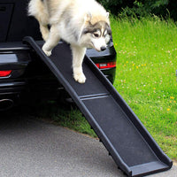 Hunderampe Hundetreppe Hundeautorampe Kofferraumrampe, Poolausstieg für Haustiere B&B Shop - 2000 Stockerau
